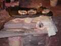 Doorboardbau Andre 047