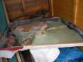 neue Doorboards Andre 044