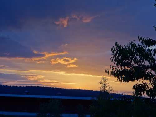 EASCA Erfurt 2014 176