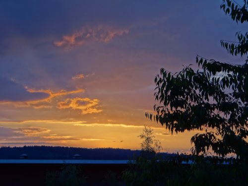 EASCA Erfurt 2014 177