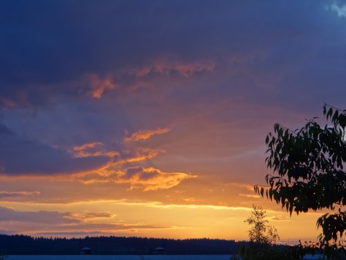 EASCA Erfurt 2014 178