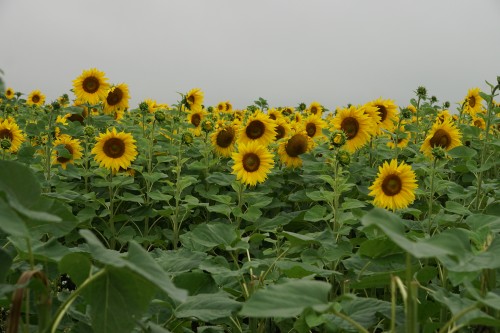 EMMA Leipzig 2021 00035