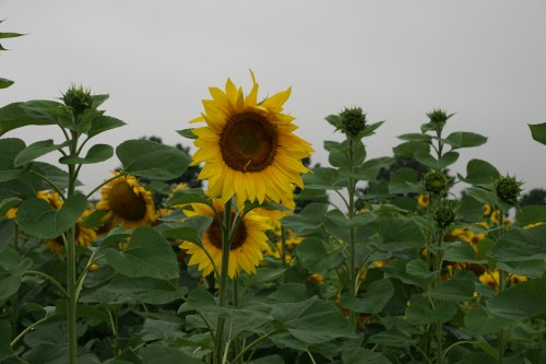 EMMA Leipzig 2021 00036