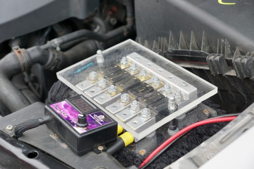 Horsch und Guck EMMA 2019 00025