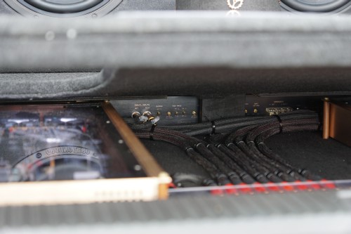 Horsch und Guck EMMA 2019 00055