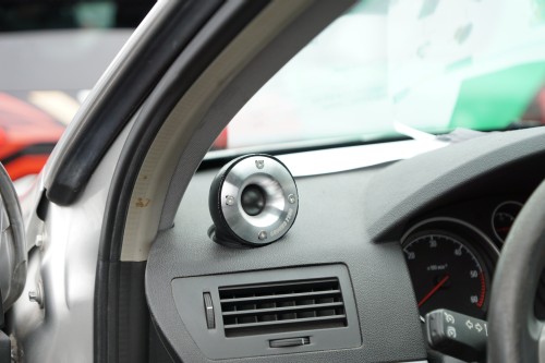 Horsch und Guck EMMA 2019 00133