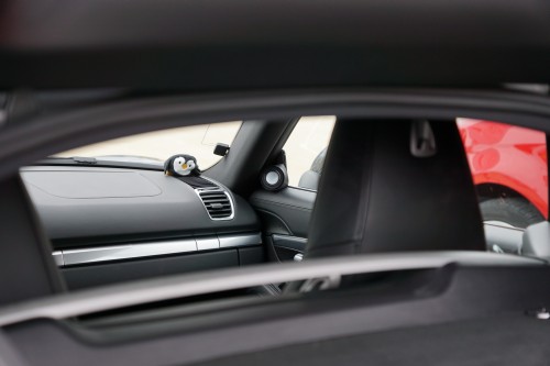 Horsch und Guck EMMA 2019 00148