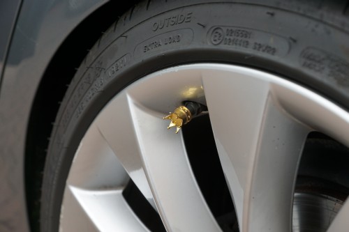 Horsch und Guck EMMA 2019 00153