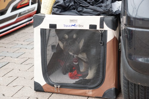 Horsch und Guck EMMA 2019 00159