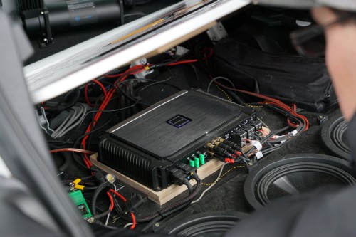 Horsch und Guck EMMA 2019 00165