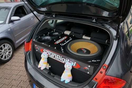 Horsch und Guck EMMA 2019 00169