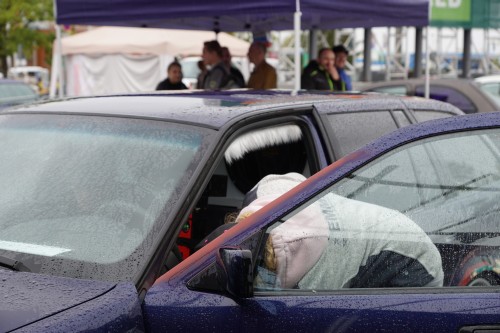 Horsch und Guck EMMA 2019 00176