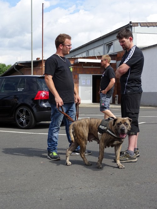 Mammut Ueh 2016 0271