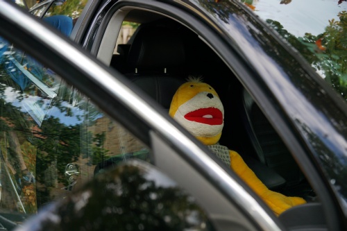 SuedThueringen AYA 2021 00080