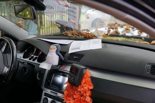 SuedThueringen AYA 2021 00081