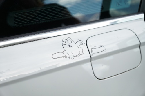 SuedThueringen AYA 2021 00106