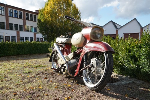 Tief im Wald 2020  00001