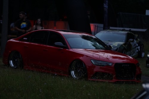 Tief im Wald 2019 00224