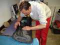 Doorboard Fahrerseite Marco 040