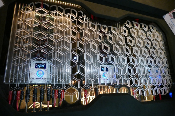 DM AYA EMMA 2025 00107