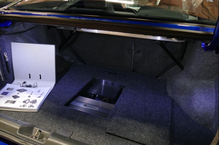 DM AYA EMMA 2025 00110