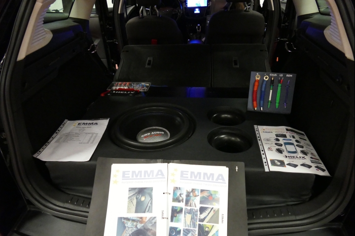 DM AYA EMMA 2025 00161