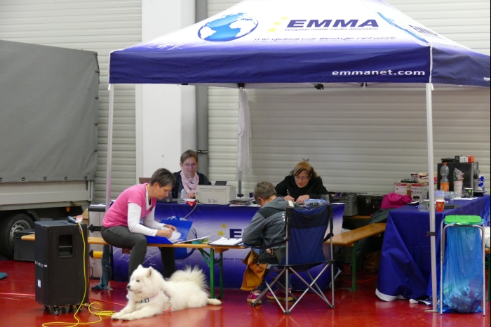 DM AYA EMMA 2025 00193