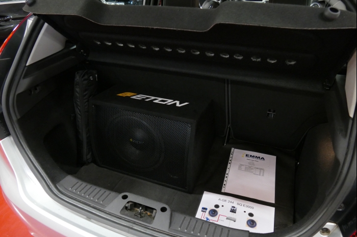 DM AYA EMMA 2025 00198