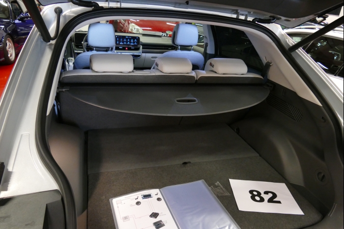 DM AYA EMMA 2025 00199