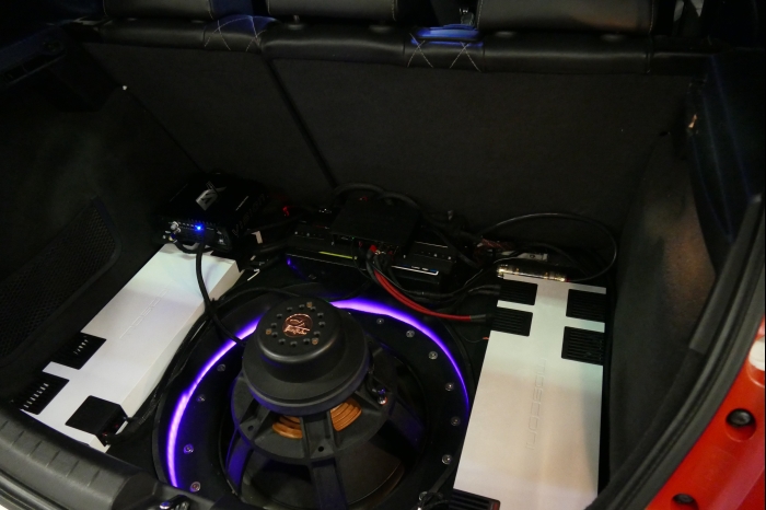 DM AYA EMMA 2025 00205