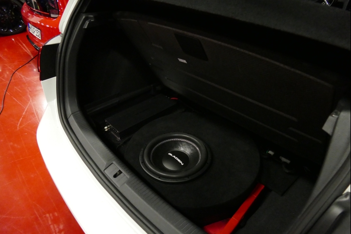 DM AYA EMMA 2025 00230