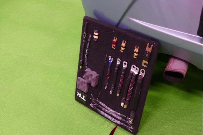 DM AYA EMMA 2025 00235