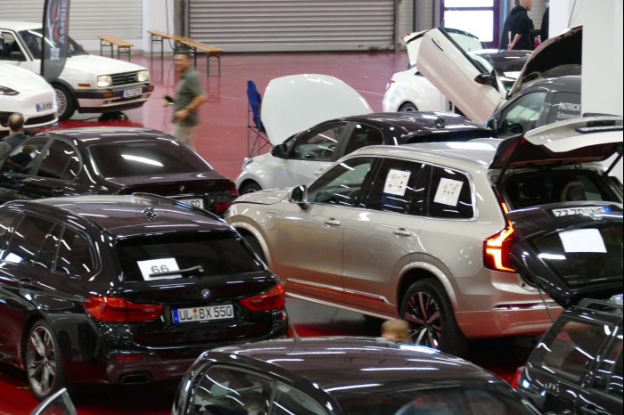 DM AYA EMMA 2025 00250