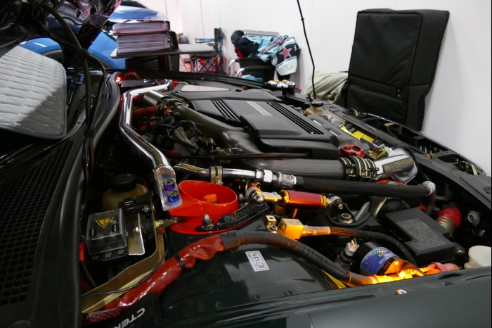 DM AYA EMMA 2025 00262