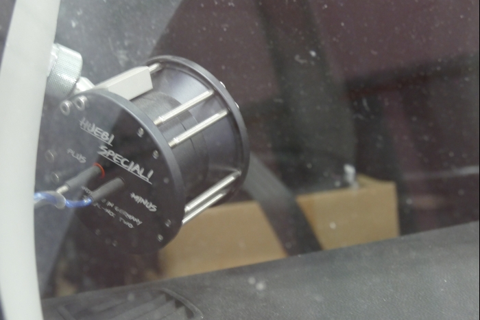 DM AYA EMMA 2025 00276