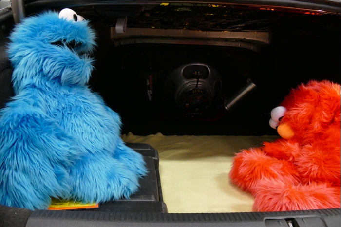 DM AYA EMMA 2025 00278