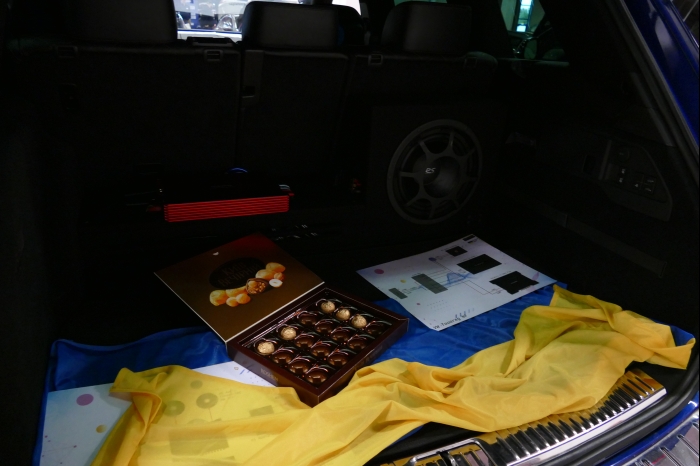 DM AYA EMMA 2025 00284