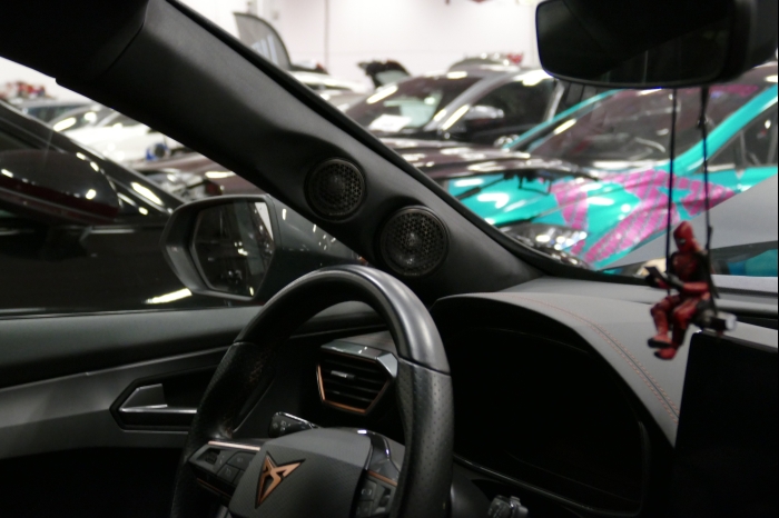 DM AYA EMMA 2025 00293