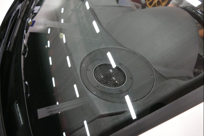 DM AYA EMMA 2025 00296