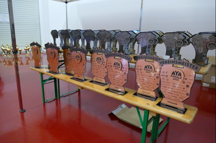 DM AYA EMMA 2025 00302