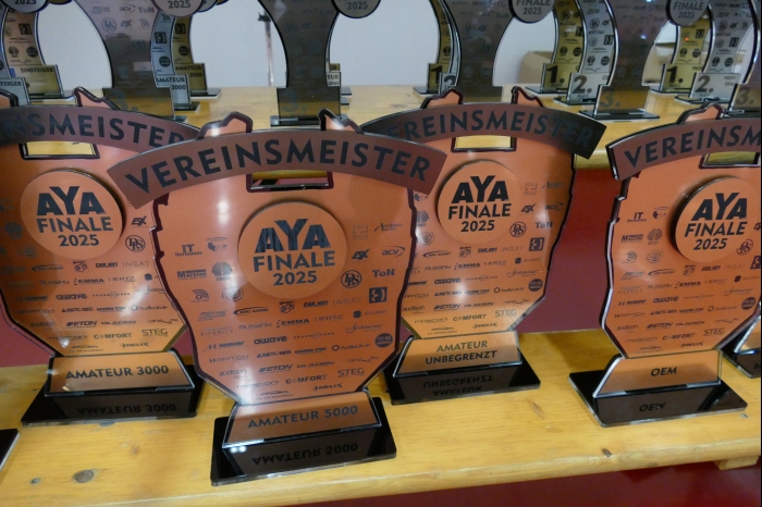 DM AYA EMMA 2025 00304