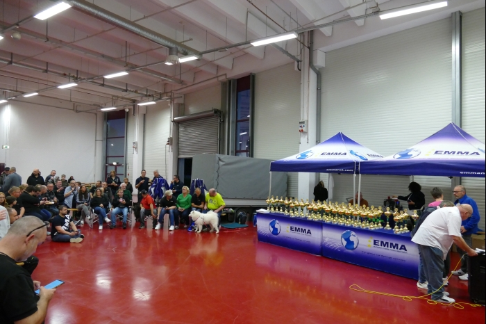 DM AYA EMMA 2025 00319