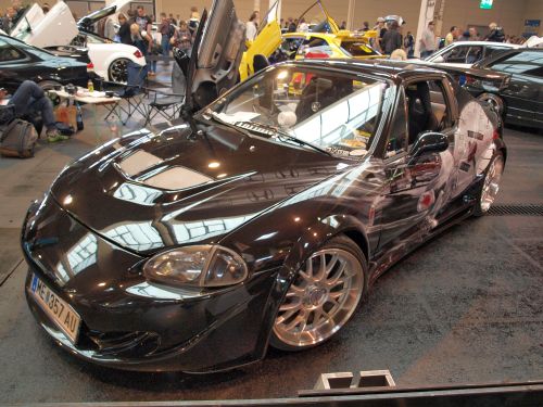 Car Sound 2010 127