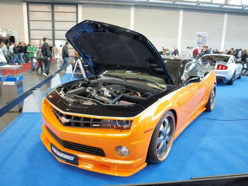 Car Sound 2010 178