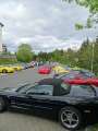 Corvette Treffen Ringberg 2016 0064