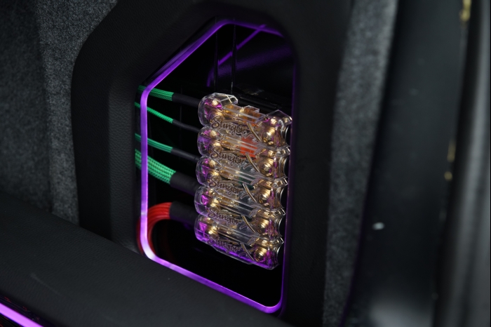 Horsch und Guck 2024 00013