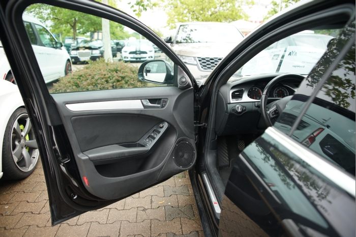 Horsch und Guck 2024 00065