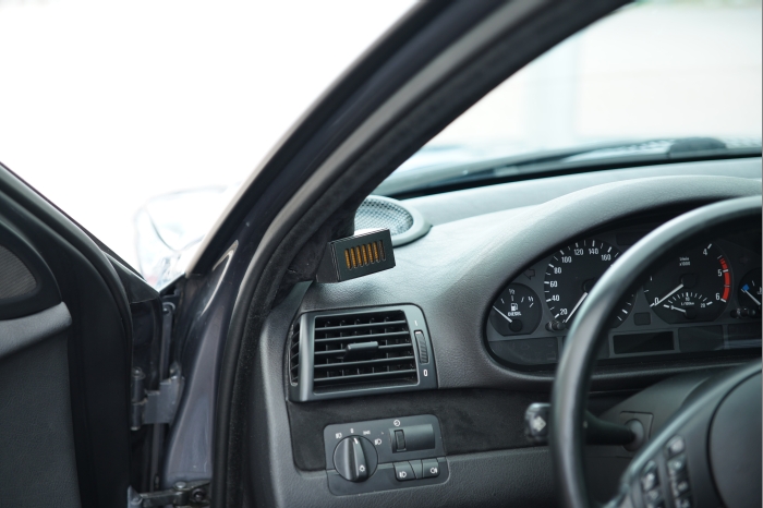 Horsch und Guck 2024 00163