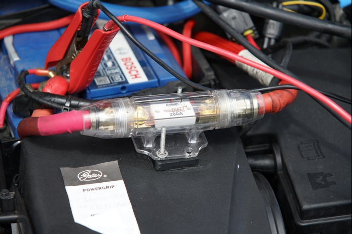 Horsch und Guck 2025 00281