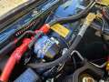 Sued Thueringen AYA 10.5.25 00120